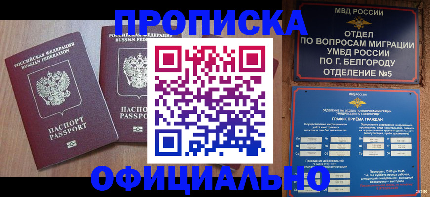 найти адрес прописки в Малоярославце